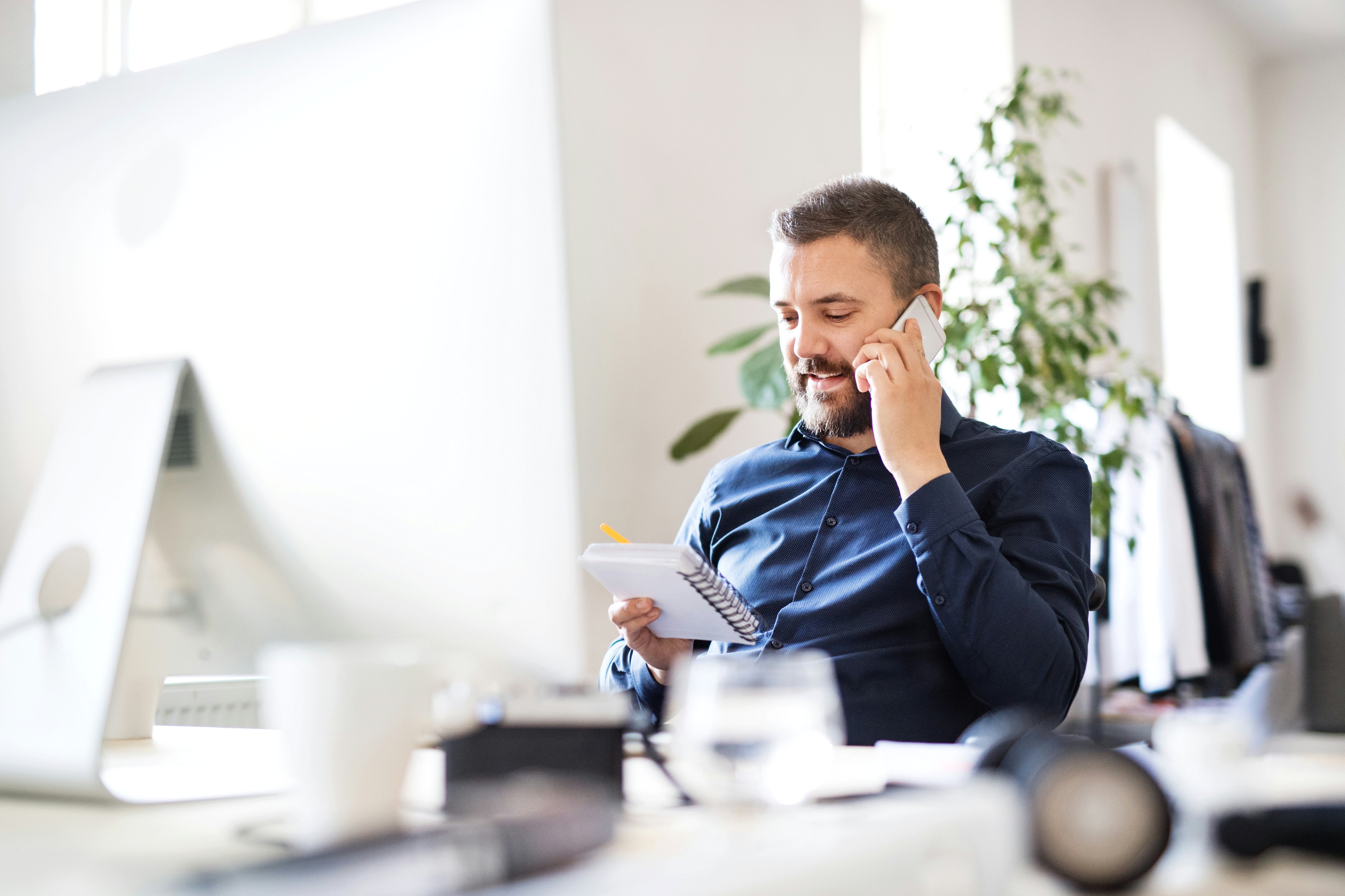Il Gatto Felice: Cosa Serve per un Amico Sereno